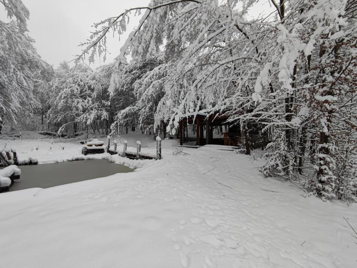 Villa Miedzy Drzewami Biecz Exterior foto